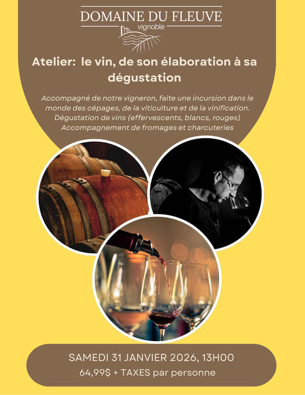 Atelier: Le vin, de son élaboration à la dégustation