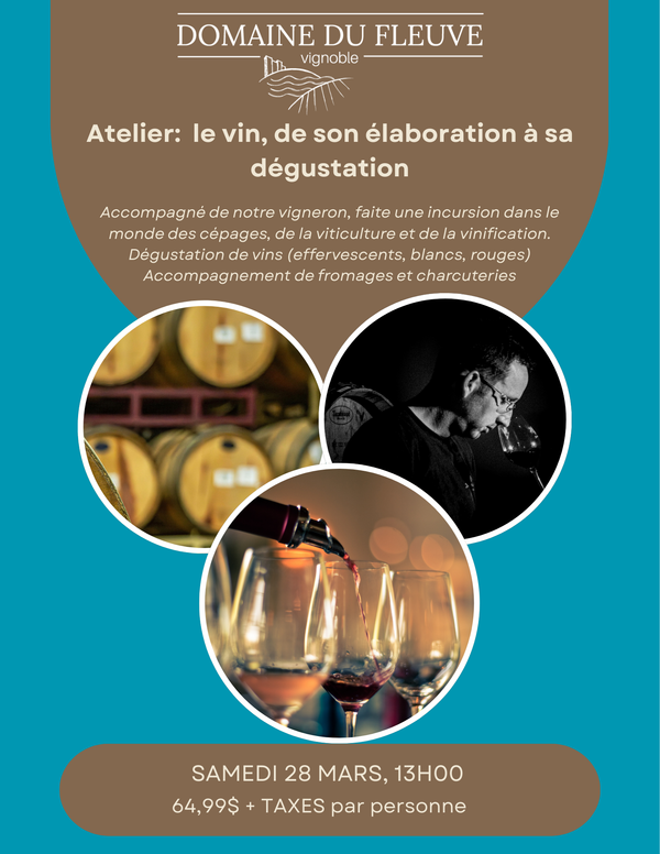 Atelier: le vin, de son élaboration à sa dégustation