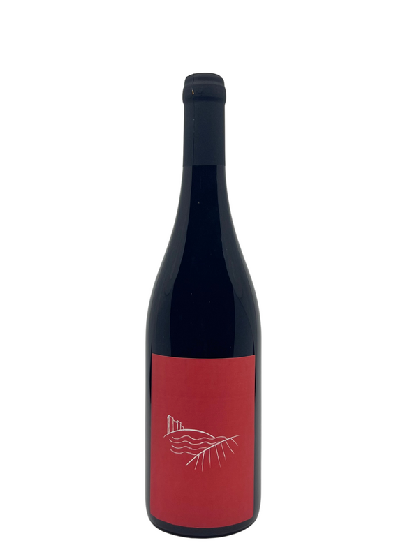 Pinot Noir 2022